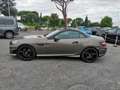 Mercedes-Benz SLK SLK 250 Premium AUTOMATICA PROMO WEB Grau - thumbnail 32