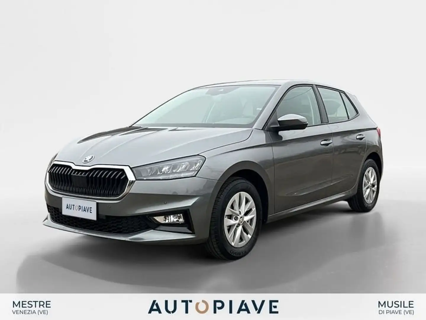 Skoda Fabia 1.0 MPI EVO 80 CV Selection Grigio - 1
