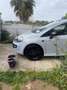 Fiat Punto Evo 3p 1.4 m-air Sport s&s 105cv - thumbnail 5