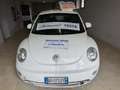 Volkswagen New Beetle - thumbnail 2