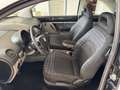 Volkswagen New Beetle - thumbnail 7