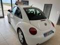 Volkswagen New Beetle - thumbnail 6