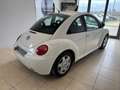 Volkswagen New Beetle - thumbnail 4