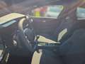 Renault Clio CLIO Evolution TCe 115 Schwarz - thumbnail 10
