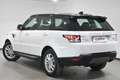 Land Rover Range Rover Sport 2.0SD4 SE Aut. Blanco - thumbnail 6