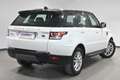 Land Rover Range Rover Sport 2.0SD4 SE Aut. Blanco - thumbnail 4
