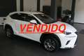 Lexus NX 300 300h Executive Kick Power+ Navigation 4WD Blanco - thumbnail 1