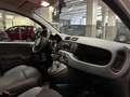 Fiat Panda 1.2 Easy Argento - thumbnail 15
