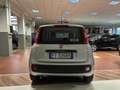 Fiat Panda 1.2 Easy Argento - thumbnail 7