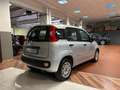 Fiat Panda 1.2 Easy Argento - thumbnail 6