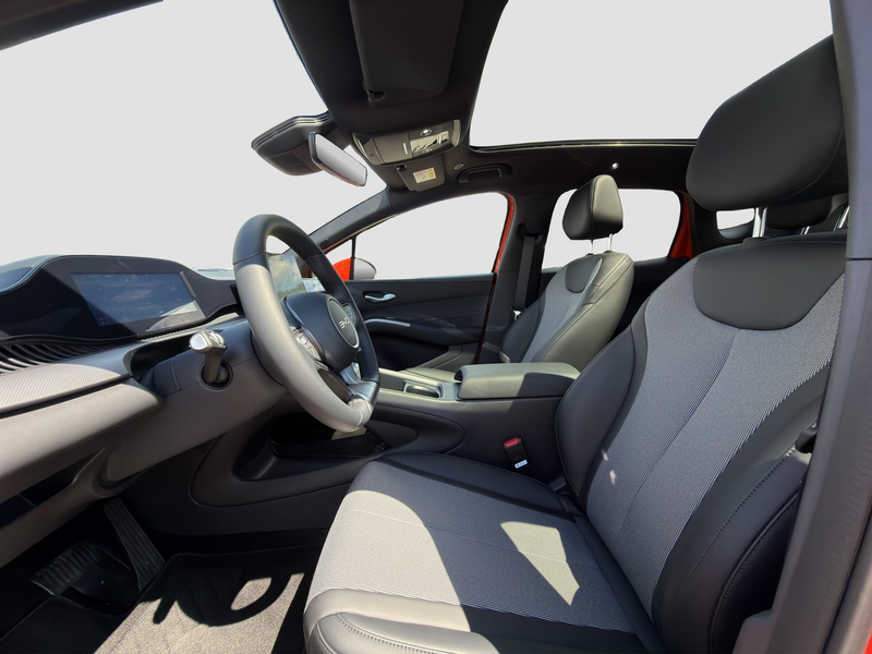 BYD Dolphin Surf -G DM-i Comfort — photo 9