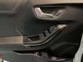Ford Puma Titanium Winter-Paket, Klimaautomatik, Rückfahrkam Bianco - thumbnail 9