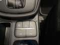 Ford Puma Titanium Winter-Paket, Klimaautomatik, Rückfahrkam Blanco - thumbnail 19