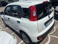 Fiat Panda 1.2 Easy easypower Gpl 69cv my19 - thumbnail 6
