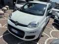 Fiat Panda 1.2 Easy easypower Gpl 69cv my19 - thumbnail 2