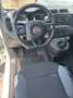 Fiat Panda 1.2 Easy easypower Gpl 69cv my19 - thumbnail 10