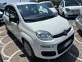 Fiat Panda 1.2 Easy easypower Gpl 69cv my19 - thumbnail 3