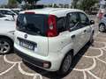 Fiat Panda 1.2 Easy easypower Gpl 69cv my19 - thumbnail 4