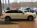 Audi A4 Avant 40 TDI quattro 17"LM StdHzg AHZV Navi AC+ PLA Blanc - thumbnail 24