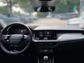 Skoda Kamiq Tour 1.0 TSI 70 KW Kamera PDC Sitzh. Gris - thumbnail 13