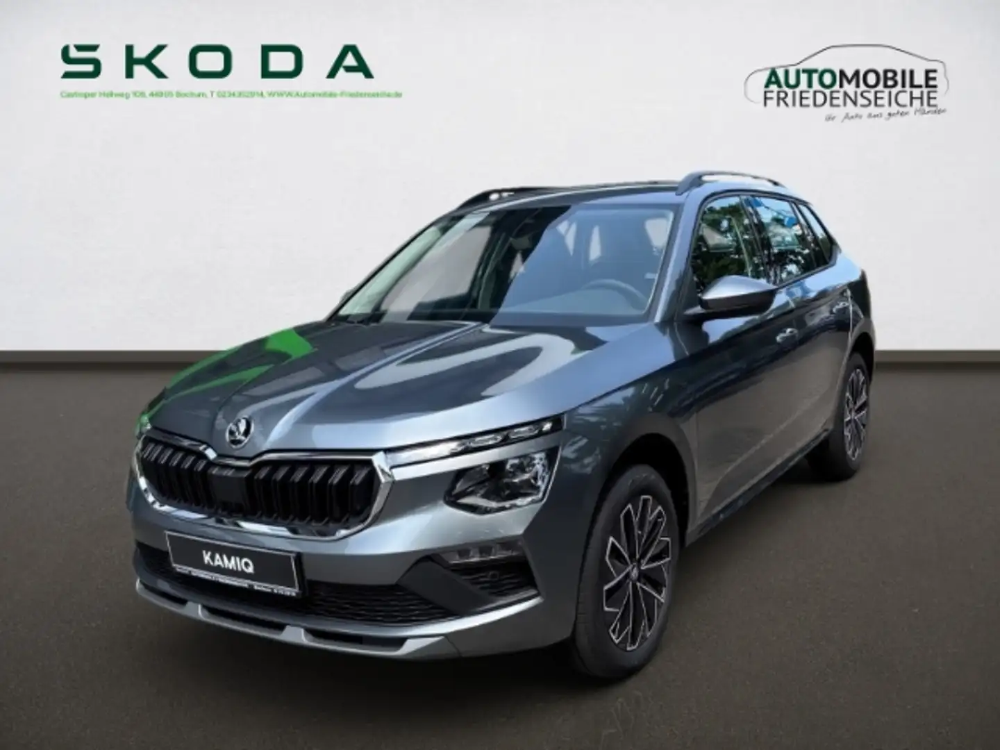 Skoda Kamiq Tour 1.0 TSI 70 KW Kamera PDC Sitzh. Gris - 1