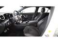 Mercedes-Benz A 180 d AMG Line Aut LED LEDER NAVI SITZHZG R-CAM Weiß - thumbnail 16