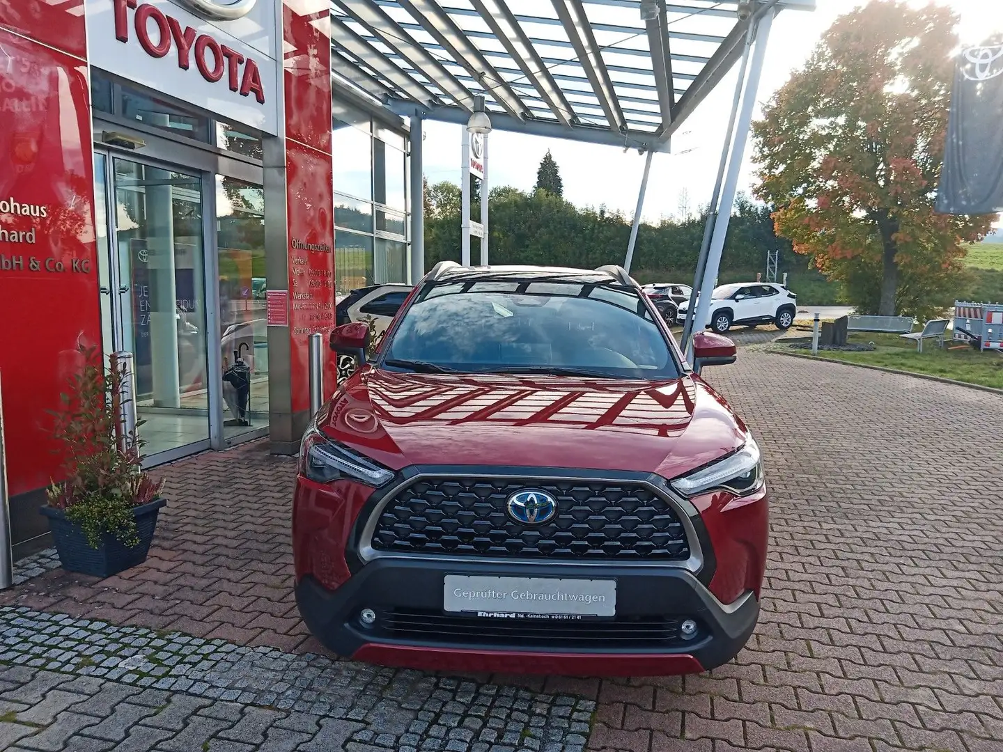 Toyota Corolla Cross 2.0 Hybrid Team D Rot - 2
