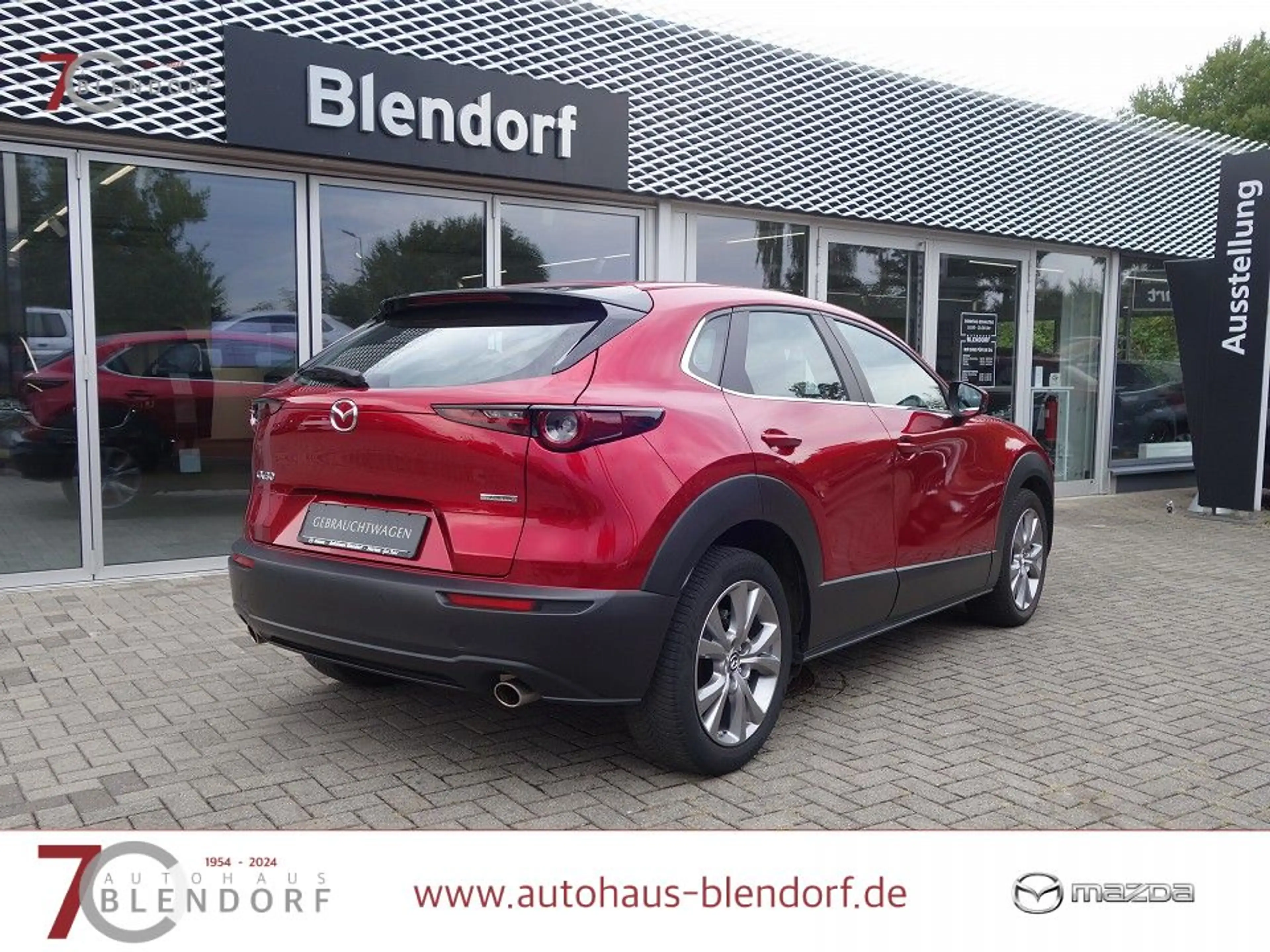 Mazda CX-30 Selection 122 Navigation|Kamera|PDC|Apple Carplay — photo 5