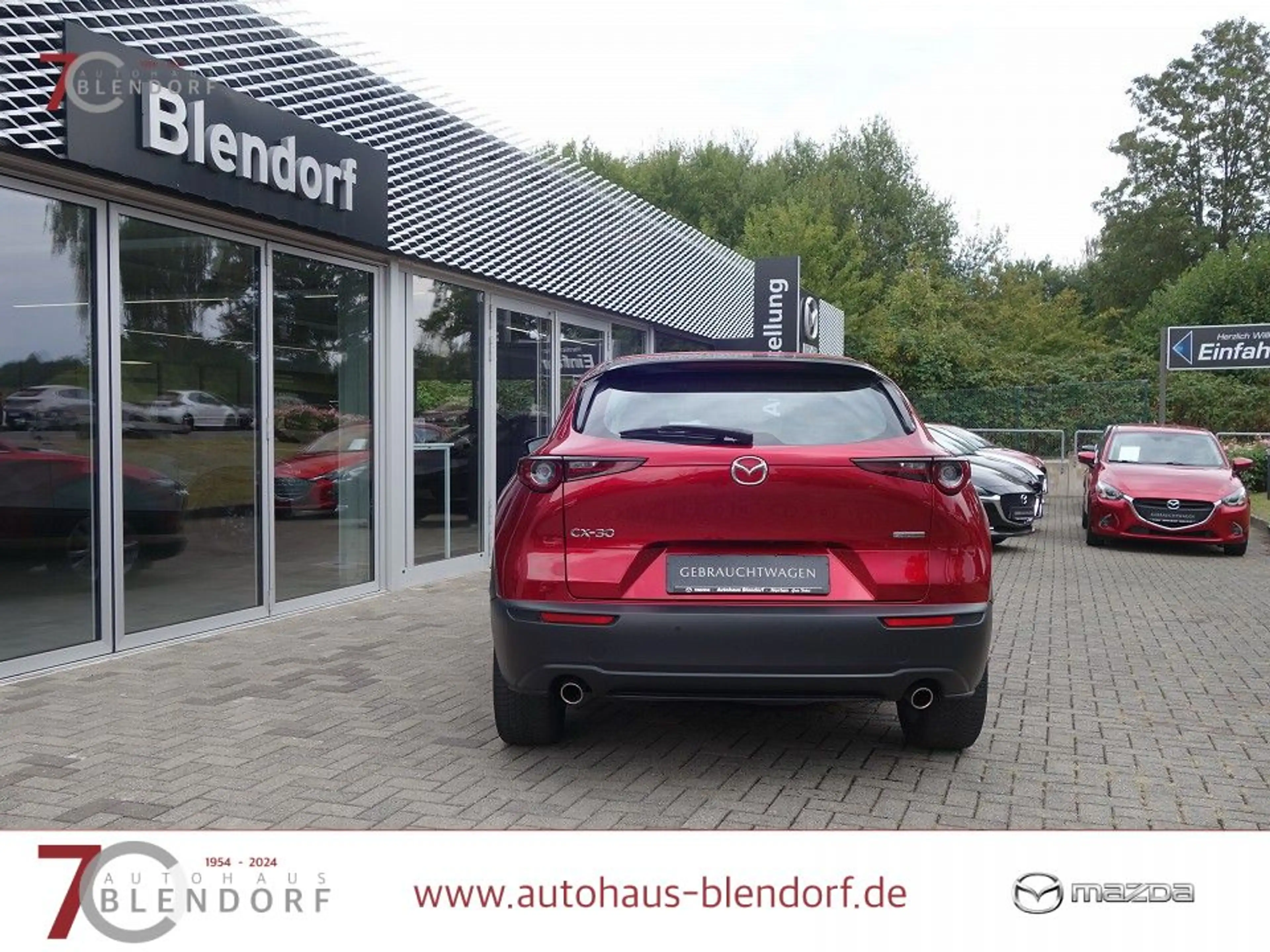 Mazda CX-30 Selection 122 Navigation|Kamera|PDC|Apple Carplay — photo 7