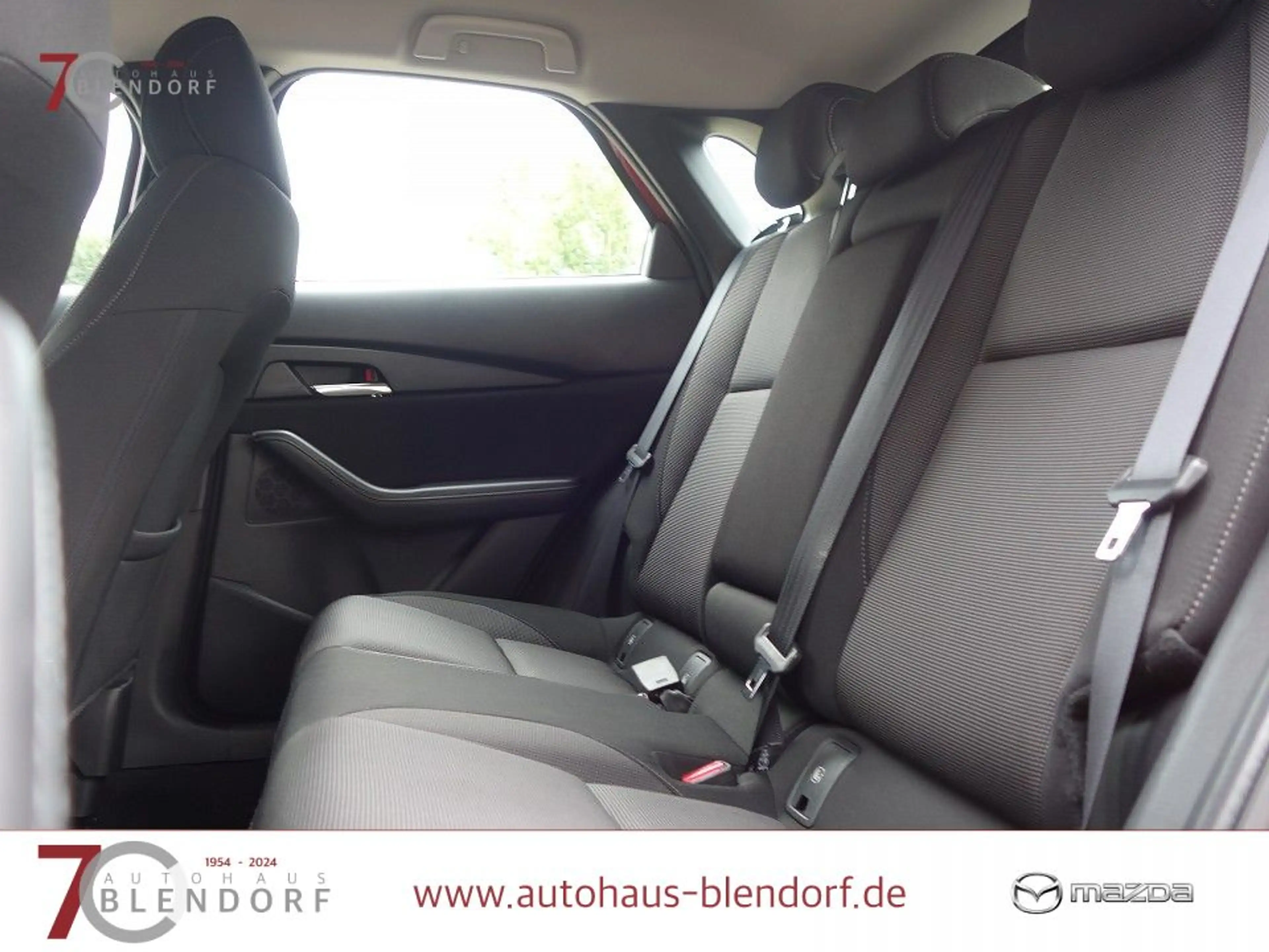 Mazda CX-30 Selection 122 Navigation|Kamera|PDC|Apple Carplay — photo 15