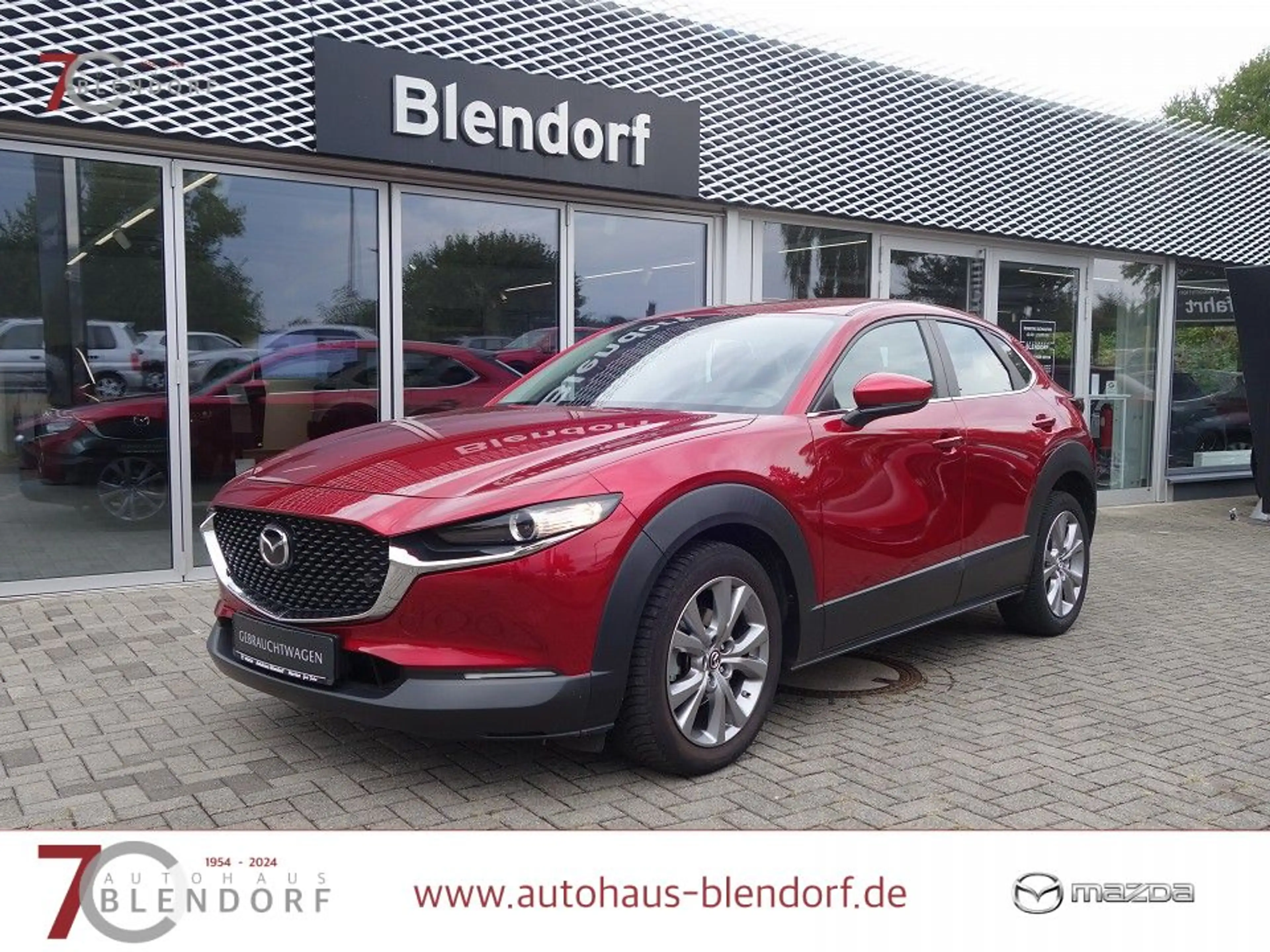 Mazda CX-30 Selection 122 Navigation|Kamera|PDC|Apple Carplay