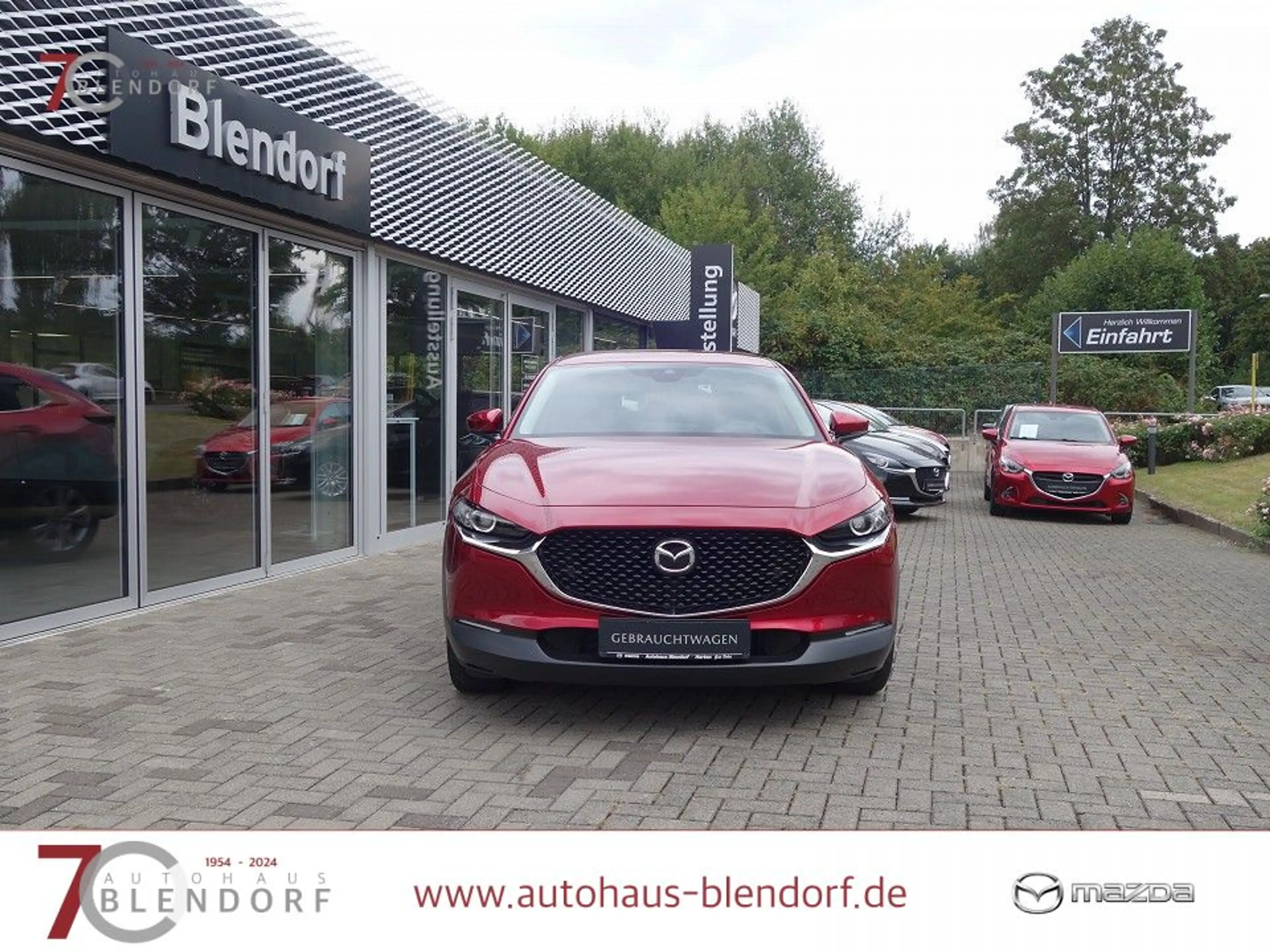 Mazda CX-30 Selection 122 Navigation|Kamera|PDC|Apple Carplay — photo 4