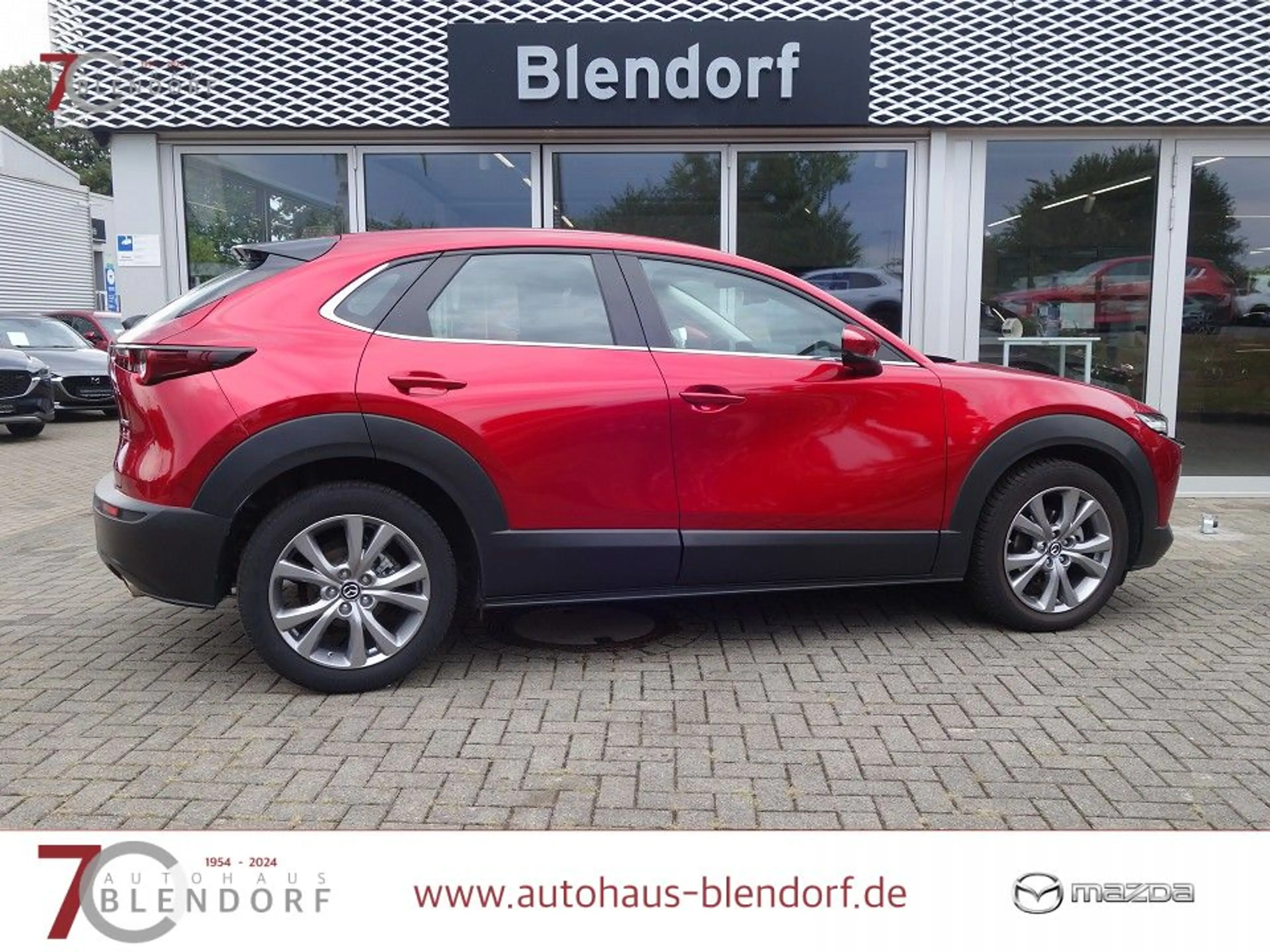 Mazda CX-30 Selection 122 Navigation|Kamera|PDC|Apple Carplay — photo 6