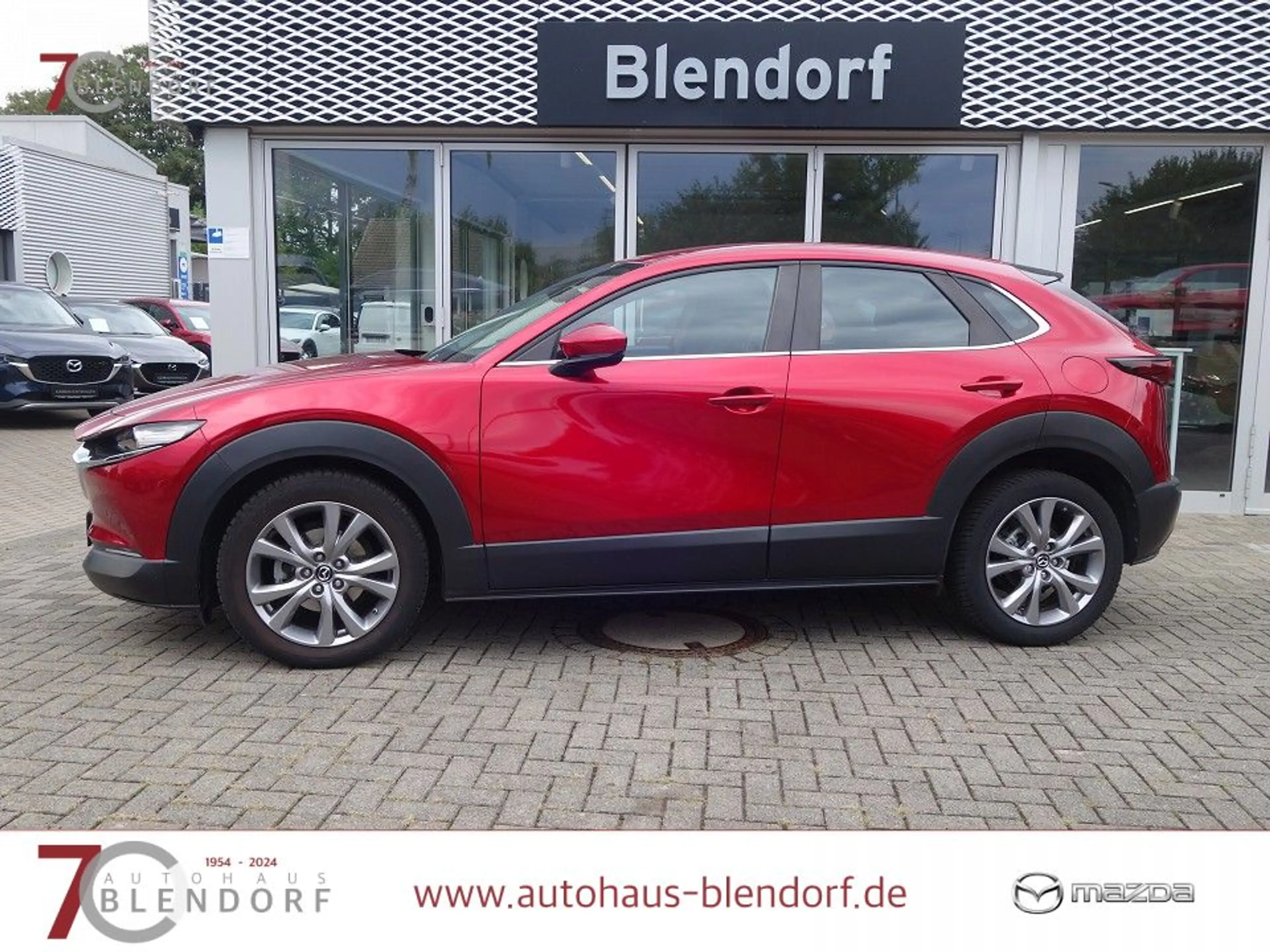 Mazda CX-30 Selection 122 Navigation|Kamera|PDC|Apple Carplay — photo 3