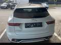 Jaguar E-Pace E-Pace 2.0D14 D150 R-Dynamic Weiß - thumbnail 3