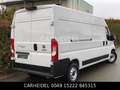 Fiat Ducato Maxi Grossr.-Kasten 35 140 L4H2 RS: 4035 Wit - thumbnail 20