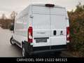 Fiat Ducato Maxi Grossr.-Kasten 35 140 L4H2 RS: 4035 Wit - thumbnail 23