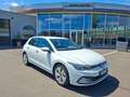 Volkswagen Golf VIII TSI Rabbit * RÜCKFAHRKAMERA Weiß - thumbnail 13