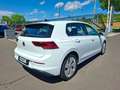 Volkswagen Golf VIII TSI Rabbit * RÜCKFAHRKAMERA Weiß - thumbnail 10