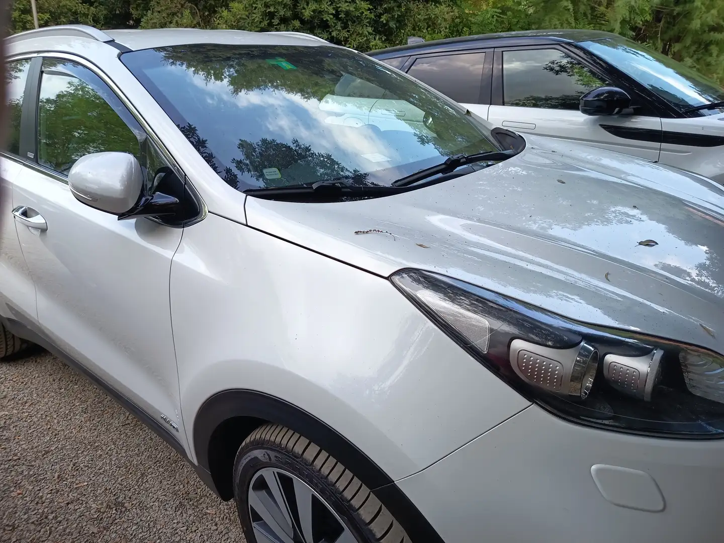 Kia Sportage Sportage IV  2.0 crdi Feel Rebel awd 136cv auto Bianco - 1