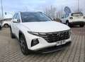 Hyundai TUCSON 1.6 HEV aut. Exellence - Deluxe/Lounge Bianco - thumbnail 2