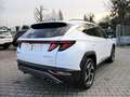 Hyundai TUCSON 1.6 HEV aut. Exellence - Deluxe/Lounge Bianco - thumbnail 3
