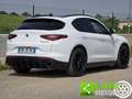 Alfa Romeo Stelvio 2.2d 210 CV AWD Veloce Tetto Gancio Traino Blanc - thumbnail 18