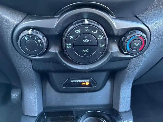 Ford Ecosport view 11
