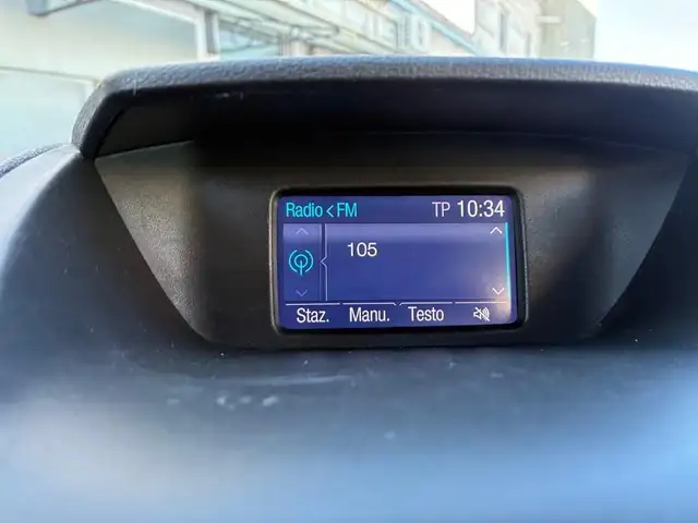 Ford Ecosport view 9