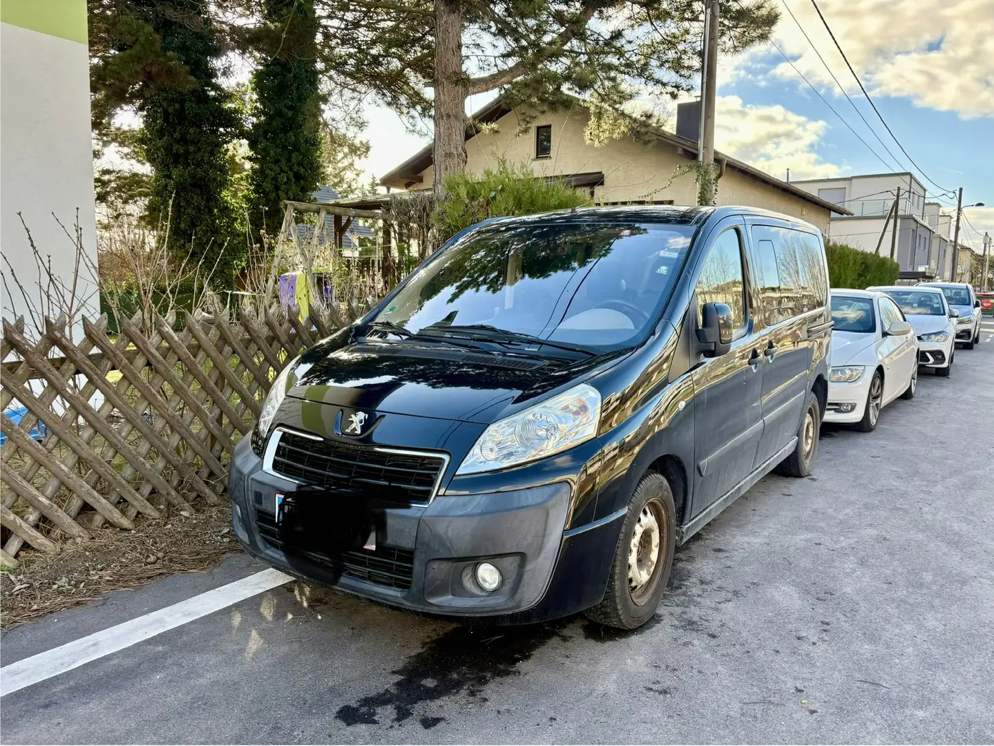 Peugeot Sonstige Peugeot Expert Tepee Schwarz - 1