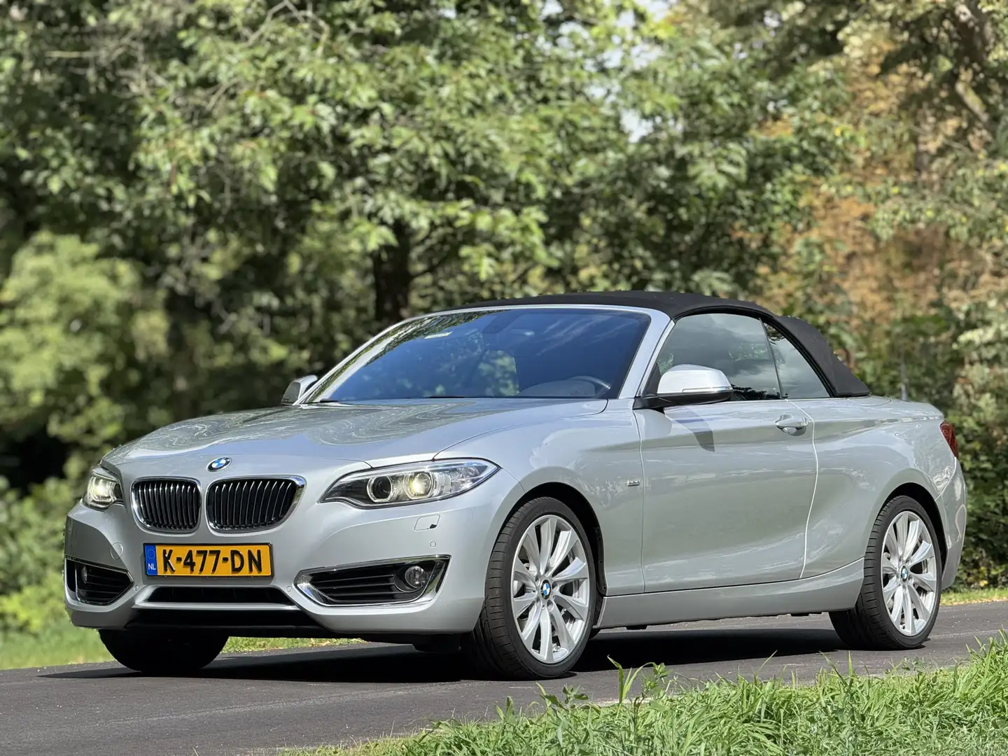 BMW 230 2-serie Cabrio 230i Executive Grau - 2