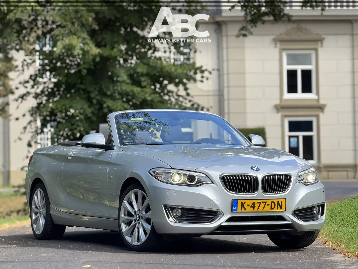 BMW 230 2-serie Cabrio 230i Executive Grau - 1
