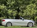 BMW 230 2-serie Cabrio 230i Executive Grau - thumbnail 4