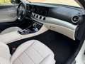 Mercedes-Benz E 220 d 4Matic AMG Line/Burmester/Sitzlüf/Distr. Blanco - thumbnail 20
